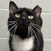 Thumbnail photo of Pogo #3