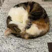 Thumbnail photo of Carla #3