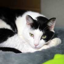 Thumbnail photo of Haiku #3