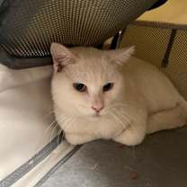 Thumbnail photo of Bob #2