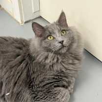 Thumbnail photo of Eazy #1