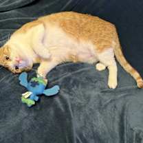 Thumbnail photo of Rory #4