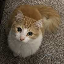 Thumbnail photo of Puddles #2