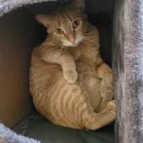 Thumbnail photo of Sebastian #3