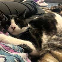 Thumbnail photo of DD #1