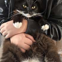 Thumbnail photo of Levi #2