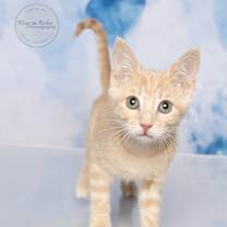 Thumbnail photo of Kevin #4