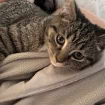 Thumbnail photo of Lorelai #2