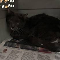 Thumbnail photo of Charles #2