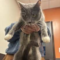 Thumbnail photo of Marge #1