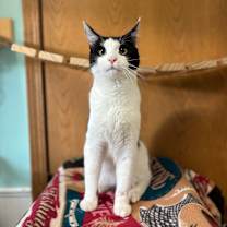 Thumbnail photo of Wilbur #1