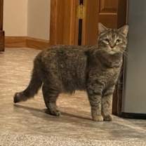 Thumbnail photo of Nessa #2