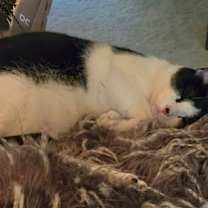 Thumbnail photo of Kelsey #3