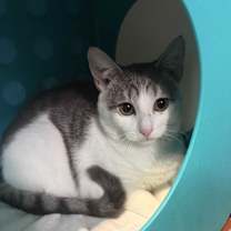 Thumbnail photo of Sailor #4