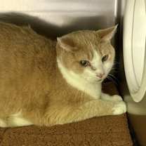 Thumbnail photo of Tony #1