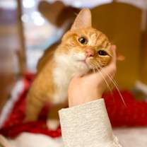 Thumbnail photo of Andy #2