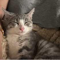 Thumbnail photo of Buttermilk #3