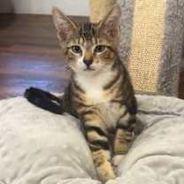 Thumbnail photo of Spark #2