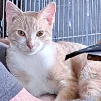 Thumbnail photo of Bjorn #1