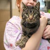 Thumbnail photo of Tootsie #1