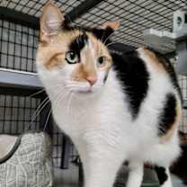 Thumbnail photo of Navarre #1