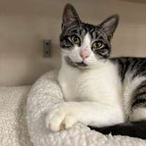 Thumbnail photo of Peppercorn #3