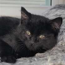 Thumbnail photo of Lucas #4