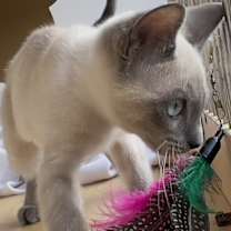 Thumbnail photo of Bridget #2