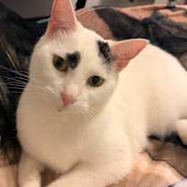 Thumbnail photo of Trish #3