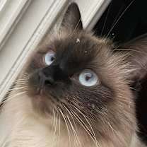 Thumbnail photo of Prince #1