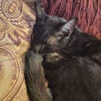 Thumbnail photo of Jack #2