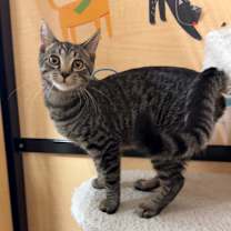 Thumbnail photo of Zoey #4