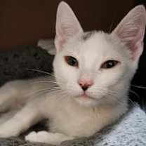 Thumbnail photo of Milky Way #1