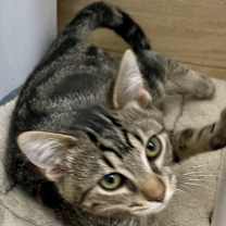 Thumbnail photo of Jason #2