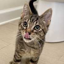 Thumbnail photo of Jason #4