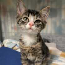 Thumbnail photo of Bedhead #1