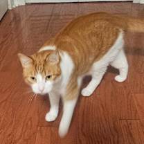 Thumbnail photo of Montana and Jerry #3