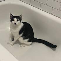 Thumbnail photo of Stash #4