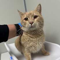 Thumbnail photo of Journey #2