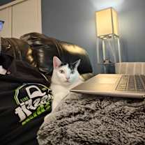 Thumbnail photo of Duke and Darla #4