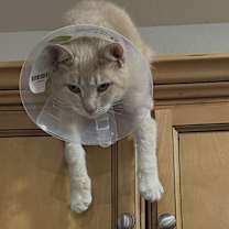 Thumbnail photo of Tubs #2