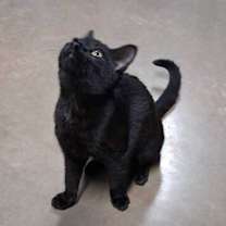 Thumbnail photo of Samantha #2