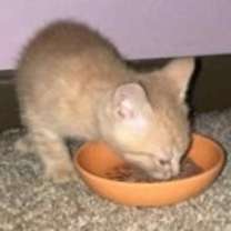 Thumbnail photo of Marlon #1