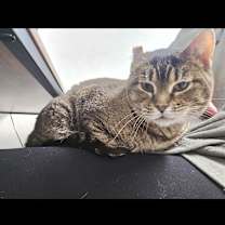 Thumbnail photo of Mila #1