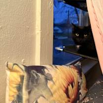 Thumbnail photo of Bruno #4