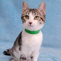 Thumbnail photo of Sparkle #2