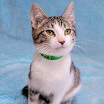 Thumbnail photo of Sparkle #3