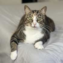 Thumbnail photo of Coco #2