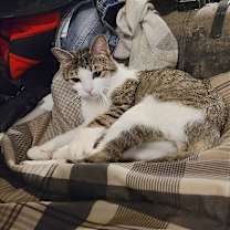 Thumbnail photo of Baby Girl #4