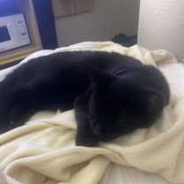 Thumbnail photo of Cloudy #2